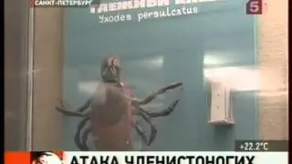 ГК 