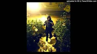 (FREE) Fenix Flexin x Ohgeesy x Shoreline Mafia Type Beat 2026 - 