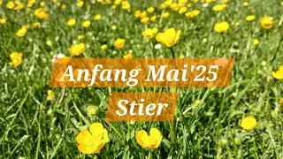 Stier♉️ ✨️🧡Der Abschied zum Gl&uuml;ck💰😁