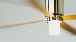 Lapa | Modern Fan Europe