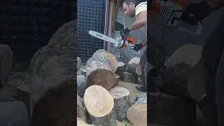 STİHL MS 251 G&uuml;rgen odunu doğrama.