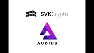 EXCLUSIVE INTERVIEW WITH AUDIUS!