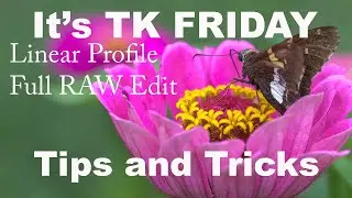 WORKING WITH LINEAR PROFILES: It's TK FRIDAY: Linear Profile FULL RAW EDIT (Tips and Tricks)