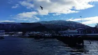 Nesna ferjekai i Nesna Kommune