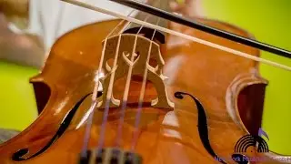 New York Musician's Center: The Best Music Education in Long Island