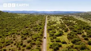 Luxury Safari Experience in South Africa | Amazing Hotels: Life Beyond the Lobby | BBC Earth Explore