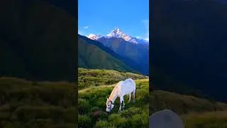 Places that don't feel real   Nepal 🇳🇵part 2