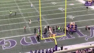 HHH Metrodome vikings