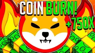 SHIBA INU MAJOR INFO! COIN BURN NEEDED! - WHAT SHIB HOLDERS NEED TO KNOW! - SHIB Coin
