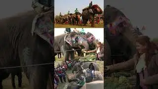 18th Chitwan Elephant and Tourism Festival from December 26th to 30th, 2024