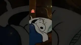 TikTok LIVE（2026/1/18） 