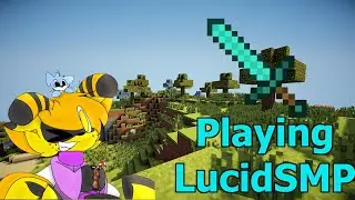 Playing LucidSMP