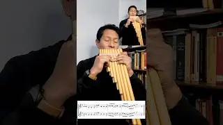 Ayacucho - Grupo IAO /               #music #flute #zampo&ntilde;a #ayacucho #quena #quenacho