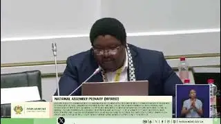 The United Africans Transformation President Dr Lehlohonolo Wonderboy Mahlatsi in Parliament. 