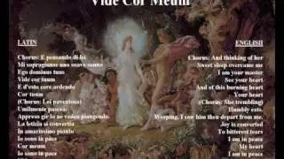 Vide Cor Meum - original libretto in Italian / latin with translation.