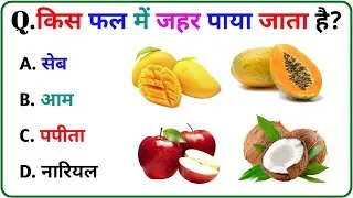 GK Questions !! Gk hindi !! Gk Questions and answer!! Quiz On!! Gk Quiz!! 2026
