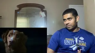 Good Boy - Official Trailer | Reaction