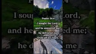 God Delivers You from Fear | Psalm 34:4 Daily Bible Verse #shorts