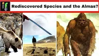 Russian Bear Discovery 'IF' Links to humanoid cryptids?