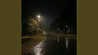swimming bird