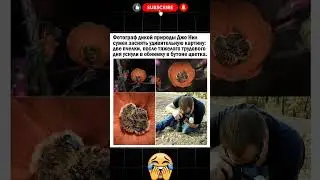 Милый момент природы 🐝🌸