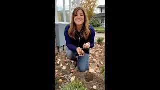 Which Way Do You Plant a Flower Bulbs? 🌷
