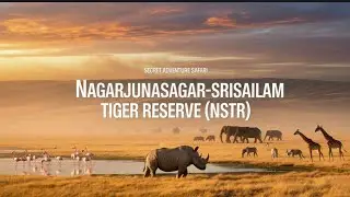 Into the Wild: Srisailam Nagarjunasagar Safari Adventure