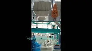 20tpd corn maize flour milling machine with auto flour packing machine