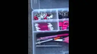 Whats in our poultry show box?