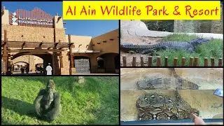 Al Ain Zoo | Wildlife Park & Resort | First visit after Covid restriction |Must Visit place in AlAin