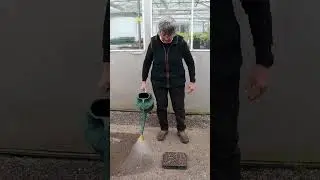 Jekka’s Seed Sowing tips: Part 2. Watering