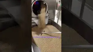 beans roasting machine video | rotary drum cooking machine #shorts #roastingmachinesfornuts