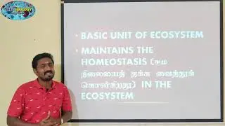 FOOD WEB | TAMIL | ECOSYSTEM | STD 12