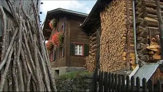 Demand for firewood soars in Austria amid gas supply fears