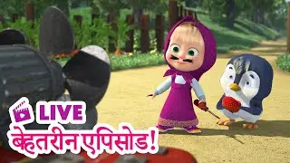🔴 LIVE STREAM! TV 📺 माशा एंड द बेयर 🏆🎞️ बेहतरीन एपिसोड! 🌟🎬 Masha and the Bear in Hindi