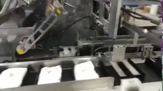 Powder Bag Cartoning machine ,Powder Pouch carton packaging machine