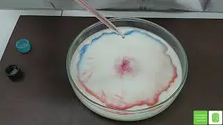 Tensión interfacial