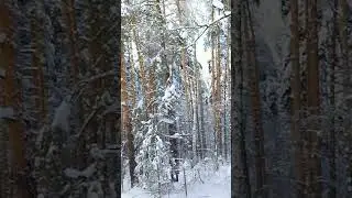 КРАСОТА