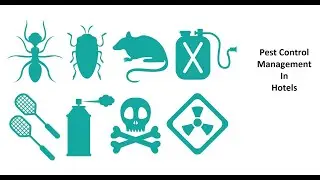 Pest Control Management in Hotels