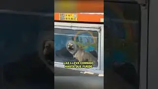Este Camionero Demuestra el Verdadero Amor por los Animales