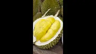 Durian Fruit #Shorts