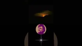 Теренс Маккена о растения проводниках #shorts #теренсмаккена #психоделики