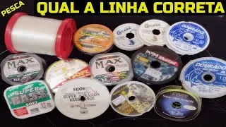 DICA: SUA LINHA DE PESCA AGUENTA UM PEIX&Atilde;O?
