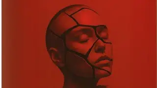 I LOSE  I Official Music Release I Vibfy I Visualizer