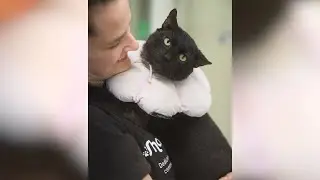 From a Cardboard Box to a Forever Home: Theo&rsquo;s Rescue Story
