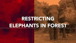 Elephant conservation and steps taken to address human elephant conflict