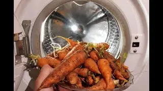 Experiment - Carrots Cleaning - in a Washing Machine - Centrifuge