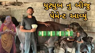 યુટ્યુબ નુ બીજુ પેમેન્ટ આવ્યુ અને ઘરના બધા ને સર્પ્રજ આપી મે ☺️☺️😅