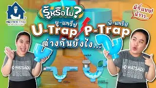 p trap และ u trap ต่างกันอย่างไร
