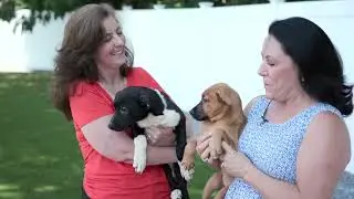 Animal Talk - Rhode Island PBS